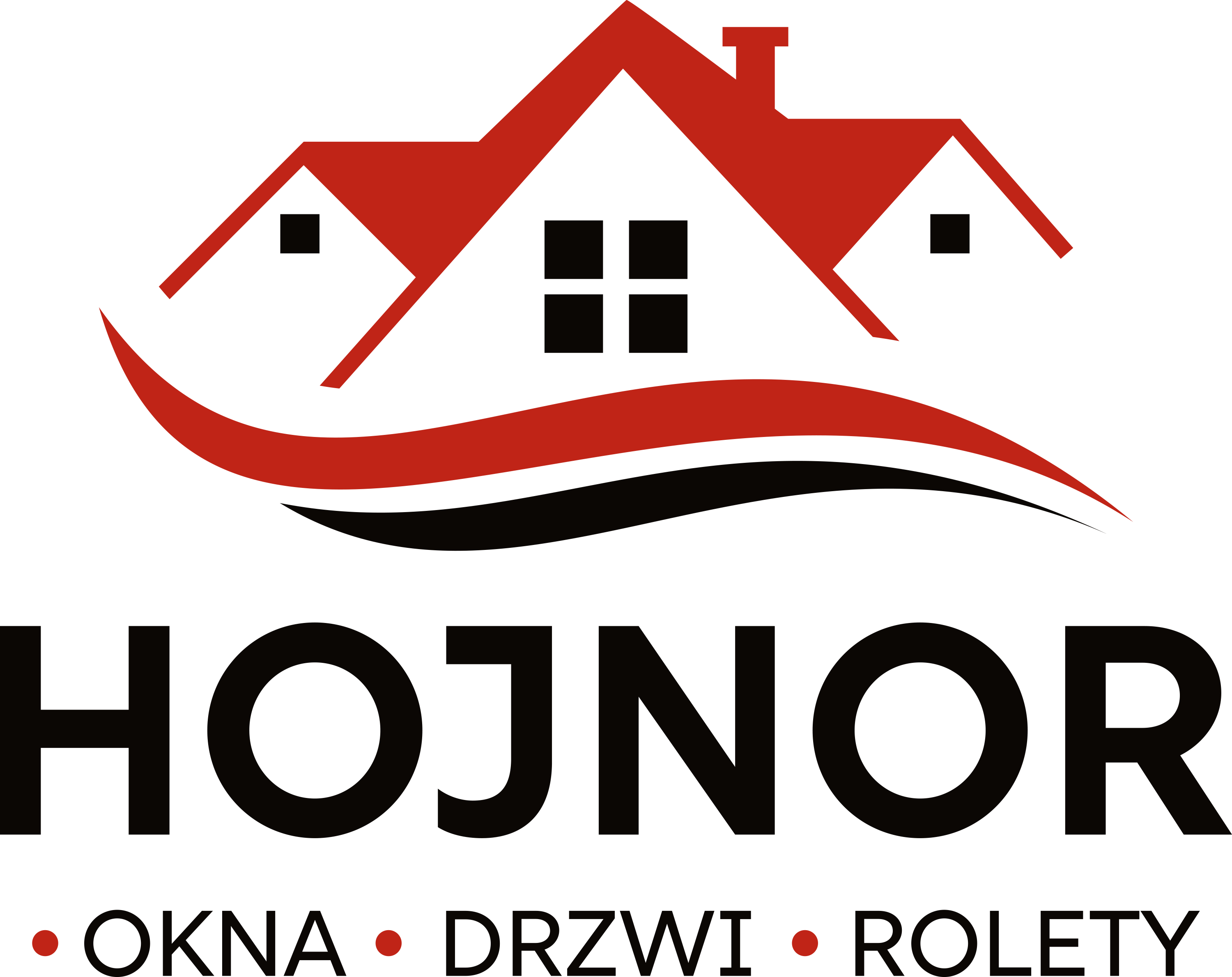 hojnor logo podstawowe